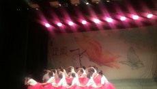 夯實(shí)專業(yè)技能 提升專業(yè)情意