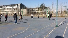 激揚(yáng)青春 享受排球快樂