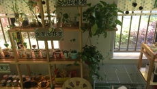 學(xué)前1系14級《學(xué)前兒童科學(xué)教育》幼兒園分散半日見習(xí)活動
